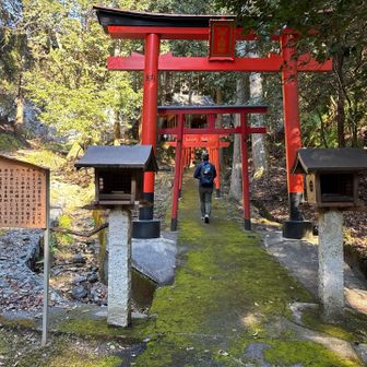 河上神社の赤い鳥居⛩️をくぐると