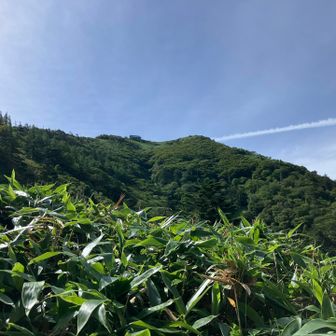 曇りと思っていたが晴れ