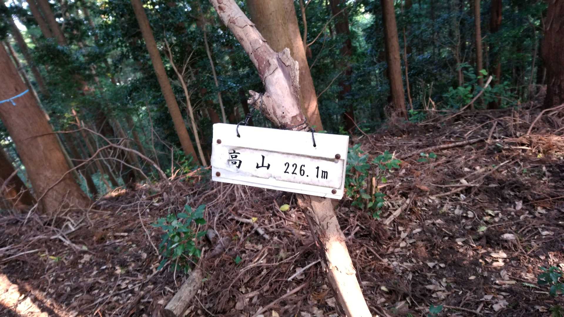 高山　頂上。