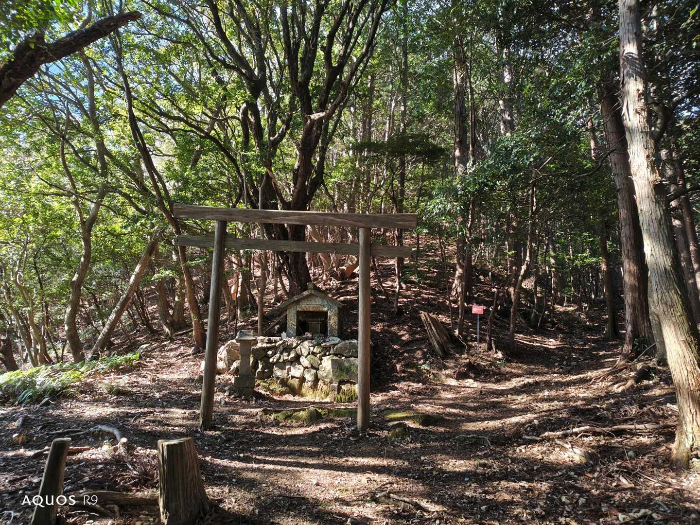 高山登山口-高山 往復コースの写真