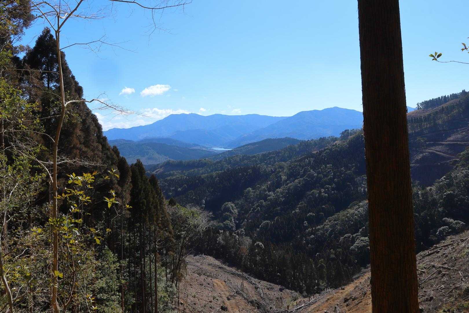 鰐塚山が見えます