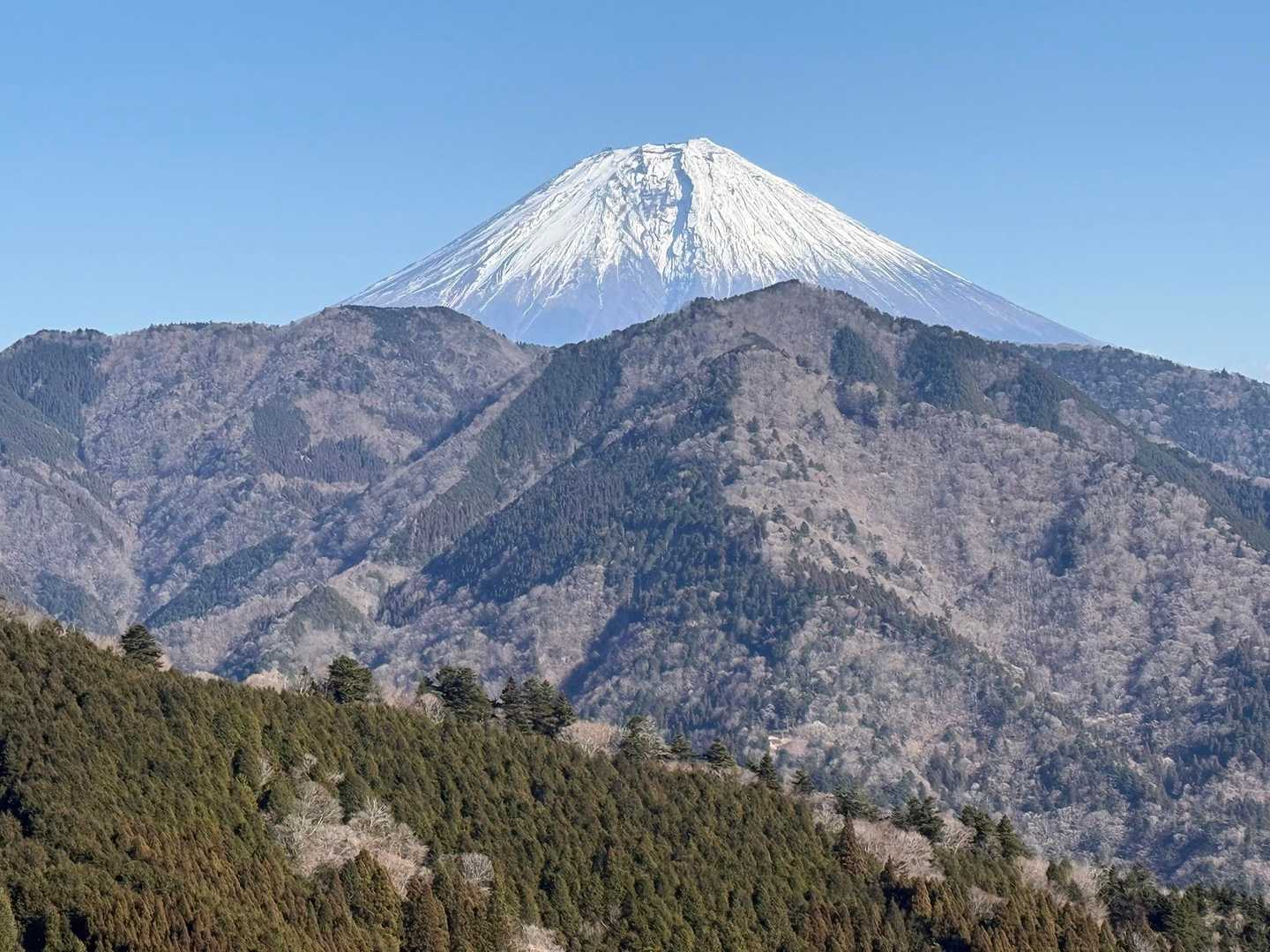 佐野峠-思親山-大島峠-三石山 周回コースの写真