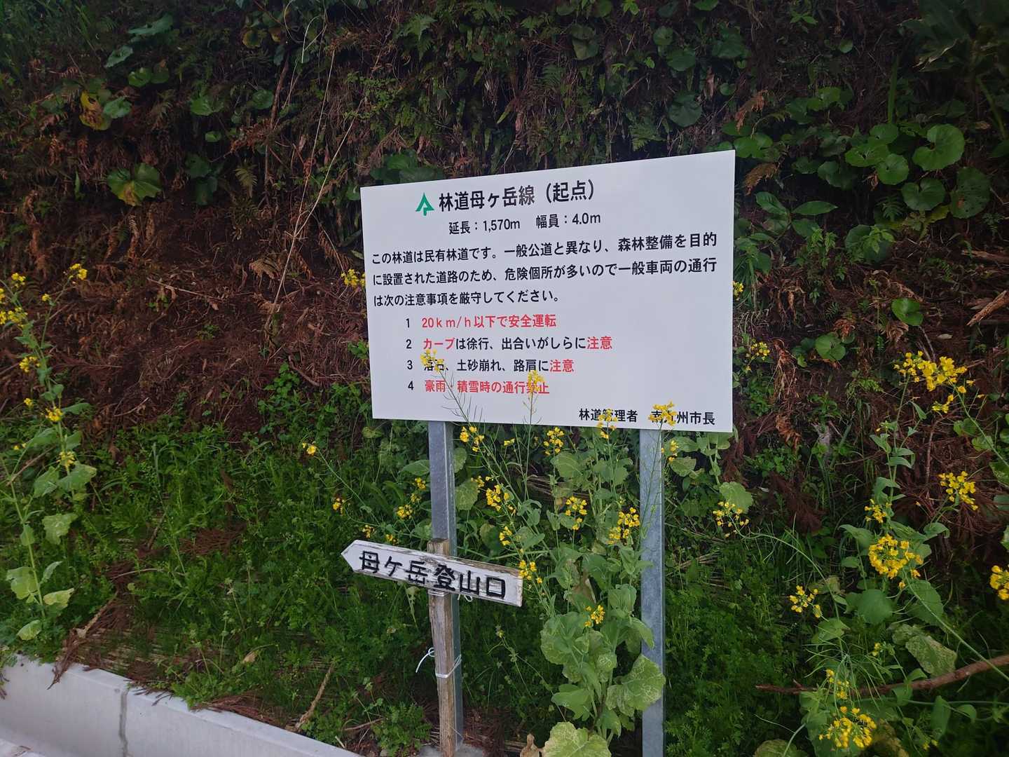 案内板もしっかり