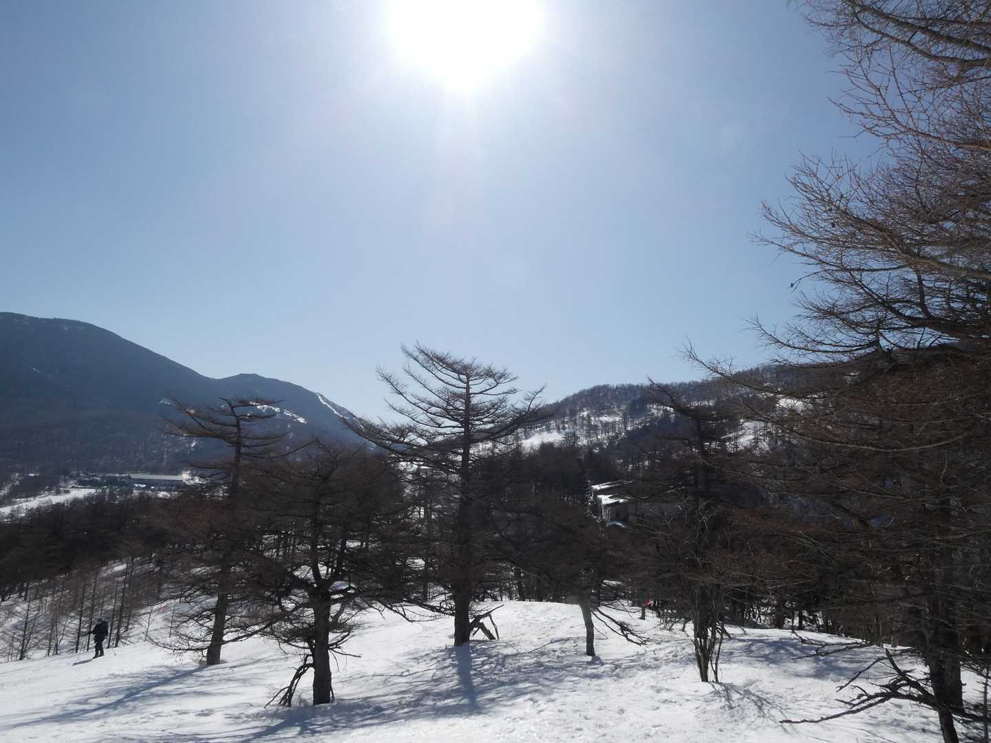 高峰温泉バス停-水ノ塔山 往復コースの写真