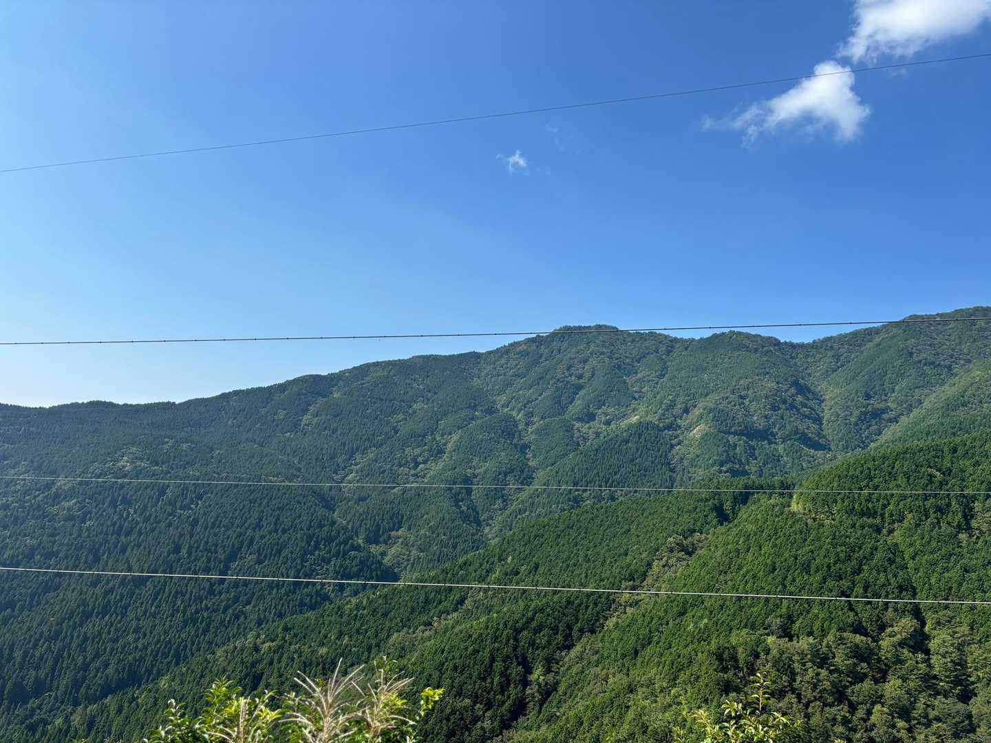 小麦畝登山口-平家平 往復コースの写真