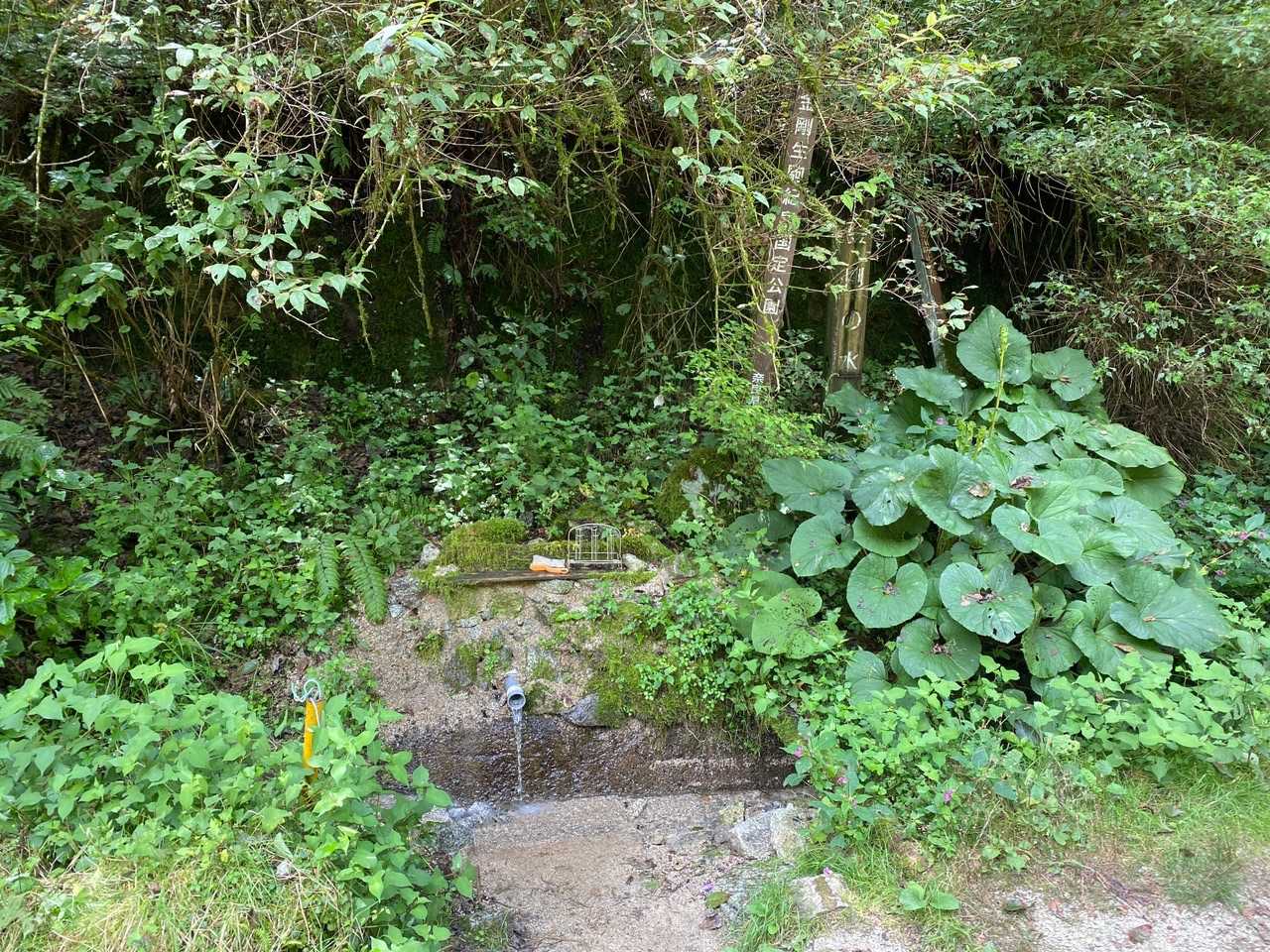 金剛水。チメタイ😊