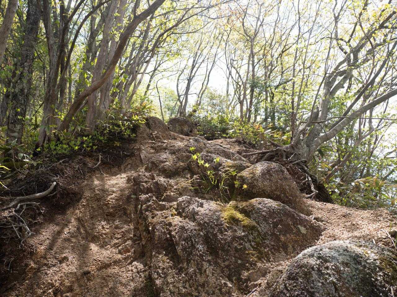 花崗岩の山