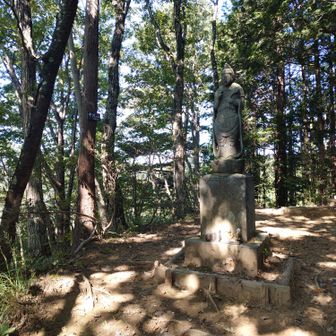 ここが本来の中沢山山頂かも？
