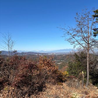 山頂からの眺め