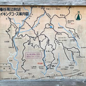 八幡谷登山口着

周辺ハイキングコース

下山途中お会いした老夫婦が岡本公園の梅を見に行くとのことなので、私も梅を見に。