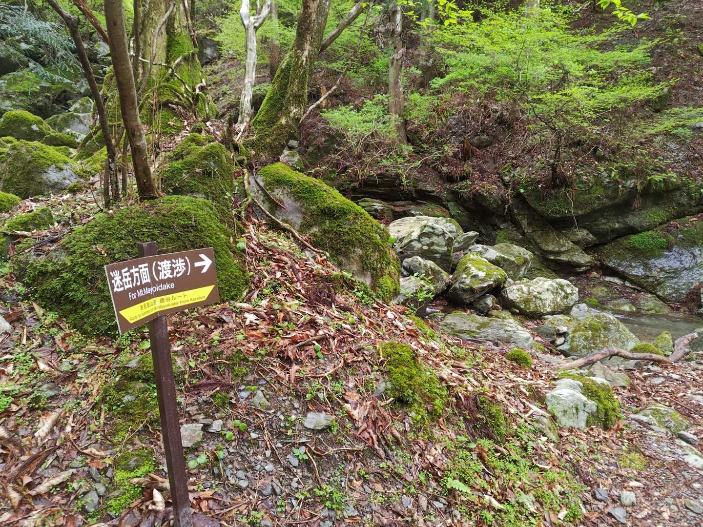 第一渡渉地点😐
滑りやすい岩🪨と増水もありちょい面倒でした😨