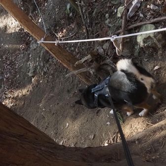 以前には無かったザレ場にお助けロープが