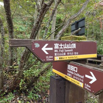 ここから山頂までは10.6km。ただし、今回のゴールは五合目。