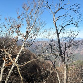 南アルプス見える😊