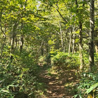 次は象山目指して再び入山💪