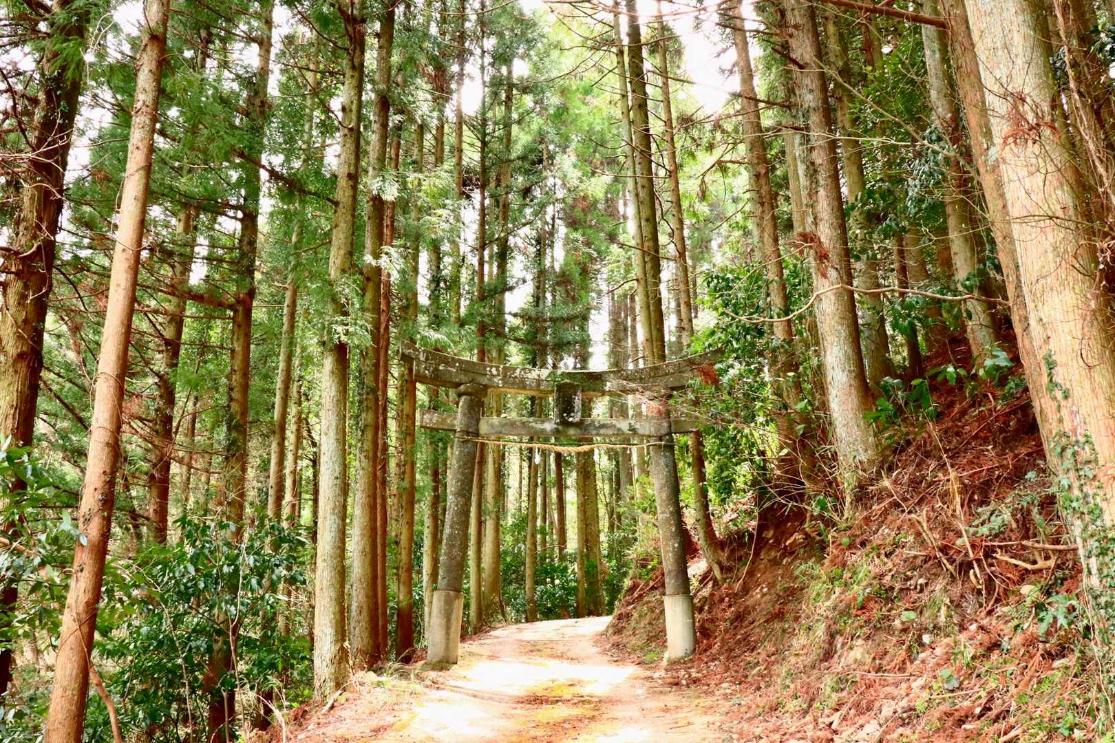 …熊田とくまだ…。二匹は恋人…。