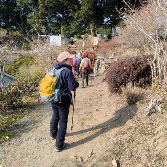 左右ずっとロウバイの木があってほんのりいい香り。
おいおい、もっとゆっくり見て行こうよぉ!!