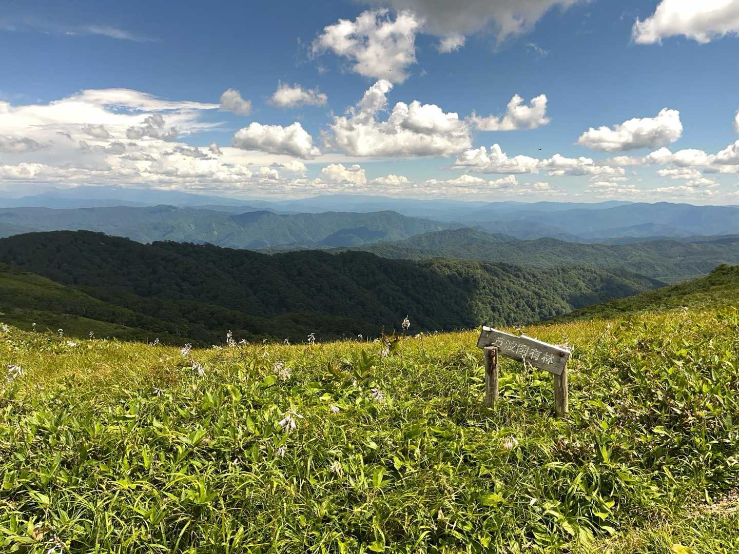 8合目登山口-白木峰-浮島の池 周回コースの写真