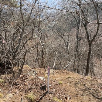 羽根子山まで戻って改めて帰り道を見ると、行く先の左側に、確かに赤いビニールテープのヒラヒラが‥分かりますか！？