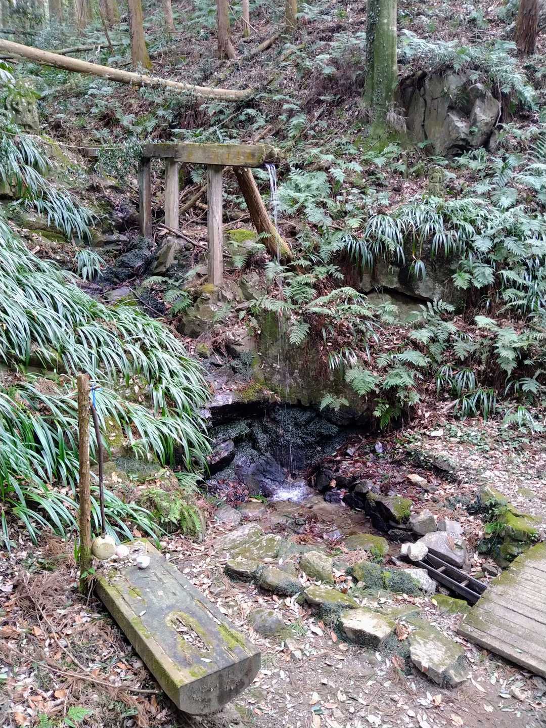 水がチョロチョロ