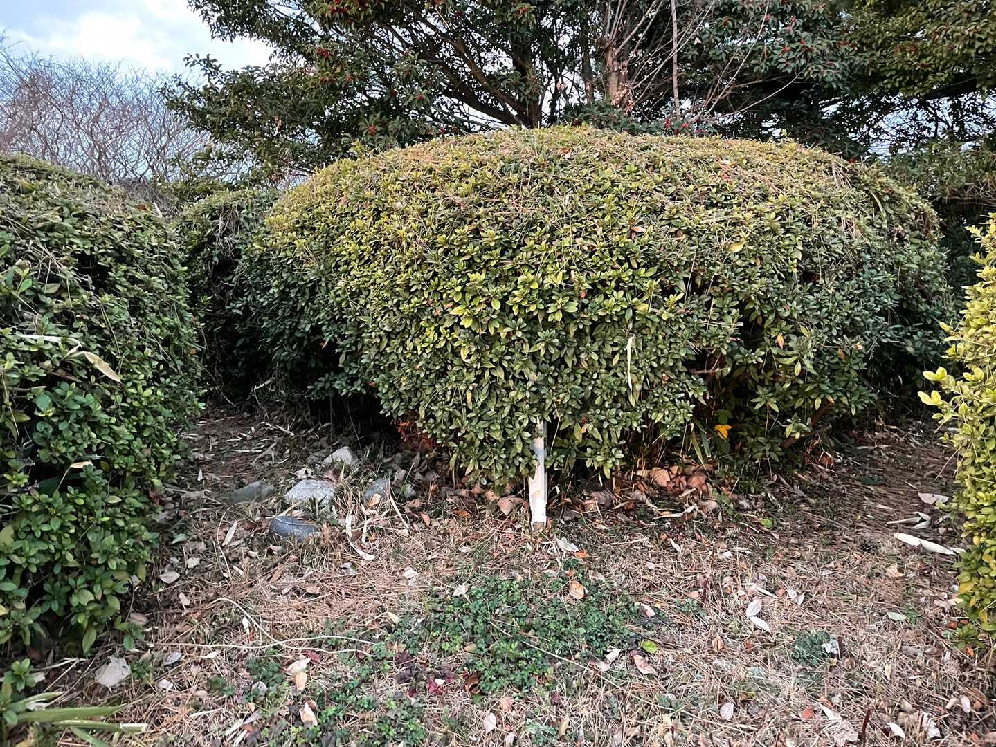 １座目金毘羅山⛰
