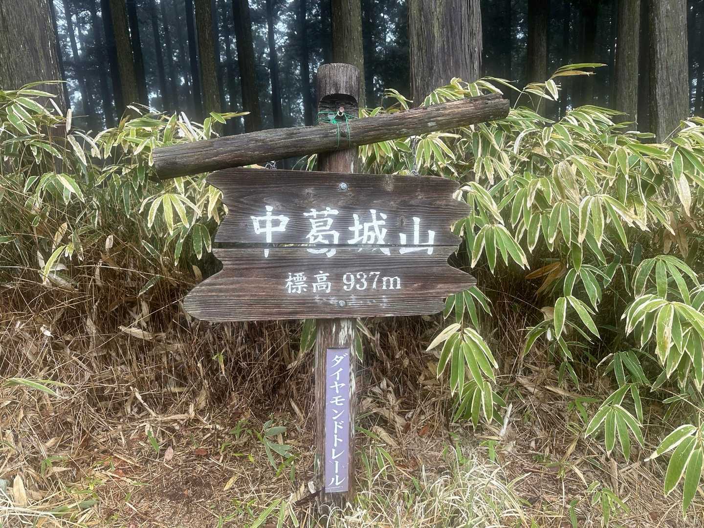 本日6座目､､､中葛城山（937m）
三角点▲は少し手前にありますが、今回はしんどいからパス。🙅‍♂️
ここまで来たら、キツい登りはもうないけど、紀見峠まではまだまだ長いのよ〜。😅
