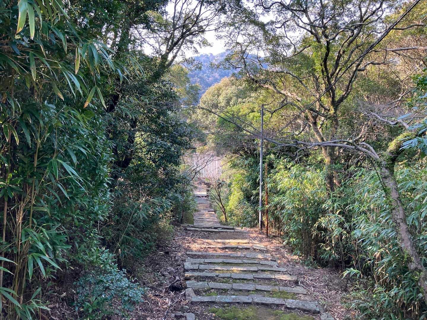 孝子駅-高仙寺-高野山-飯盛山-提灯講山-みさき公園駅 縦走コースの写真