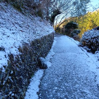 陣馬山の登山口付近は舗装路で、凍っていた〜
滑る〜

登山口の家の方が、滑るから気をつけてって見送ってくれた！