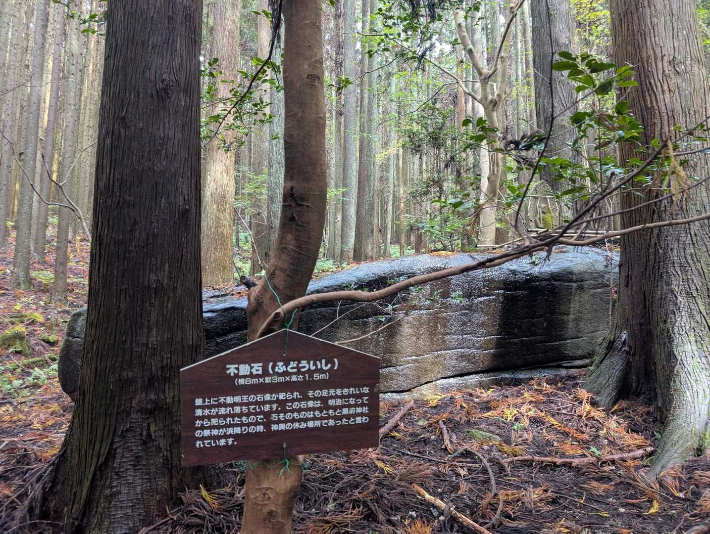 奇石を巡りながら登って行きます

まずは不動石！
岩の上には不動明王、岩の上部から水が湧き、滴り落ちてます
結構、スピリチュアルな感じ😲