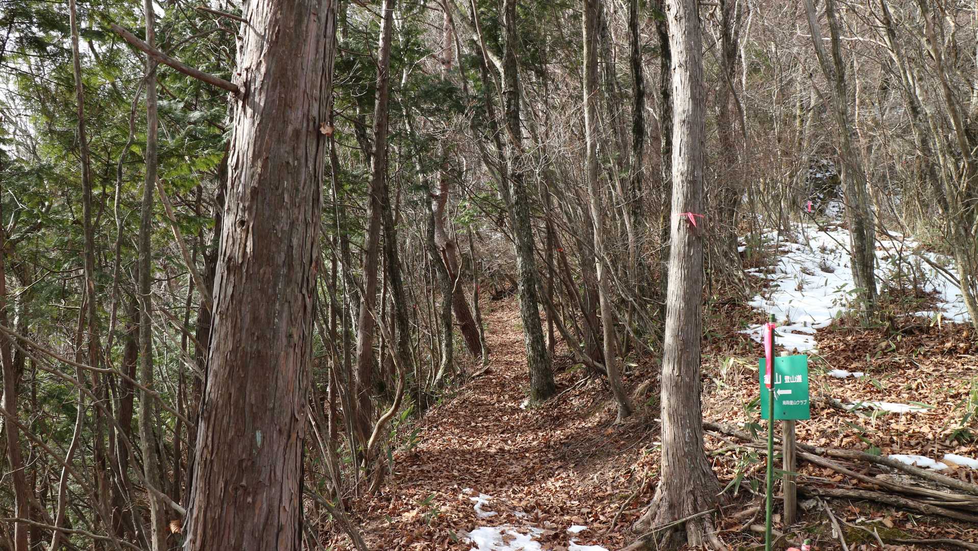 登山道の様子😃