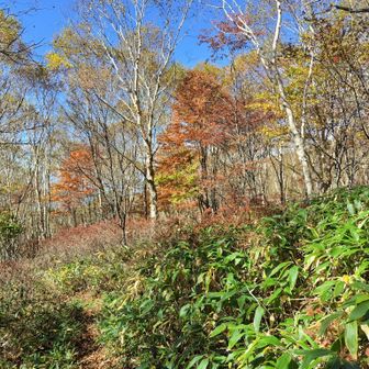 紅葉もいい感じです。