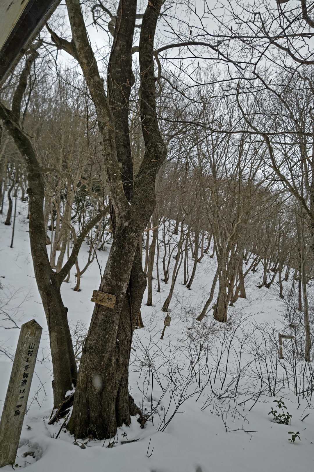 あずま屋で、一休み(⁠.⁠ ⁠❛⁠ ⁠ᴗ⁠ ⁠❛⁠.⁠)