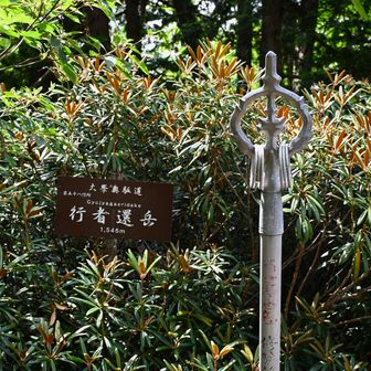 行者還岳に到着！
錫杖にテンション上がる🙌