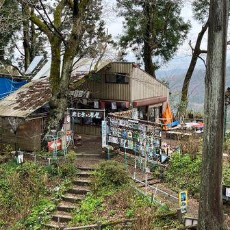 が、やはり下りになったら右足の以前と同じ箇所が痛み出した。これを克服しない限りは登山を楽しめない。この対策を考え、次に生かそう。それと欲しいのが出てきたのでモンベルに寄ろう🥹