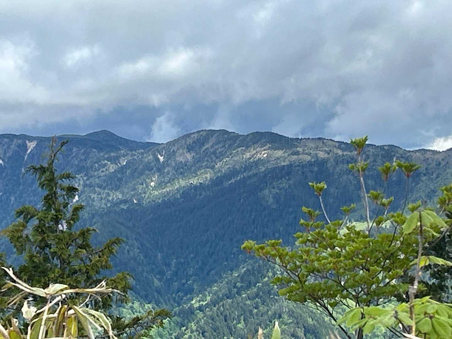 何処の山かなぁ？