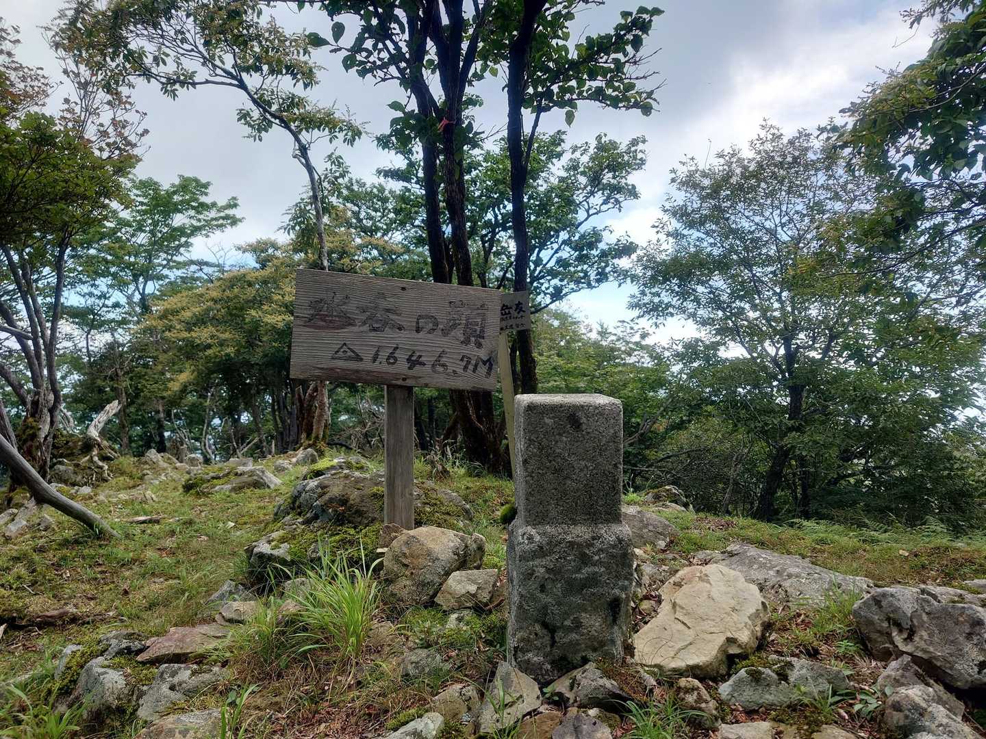 ピークにカウントされるのか不明？
いつかはこの先の扇山に山小屋1泊入れてゆっくり楽しむことが数年前からの目標