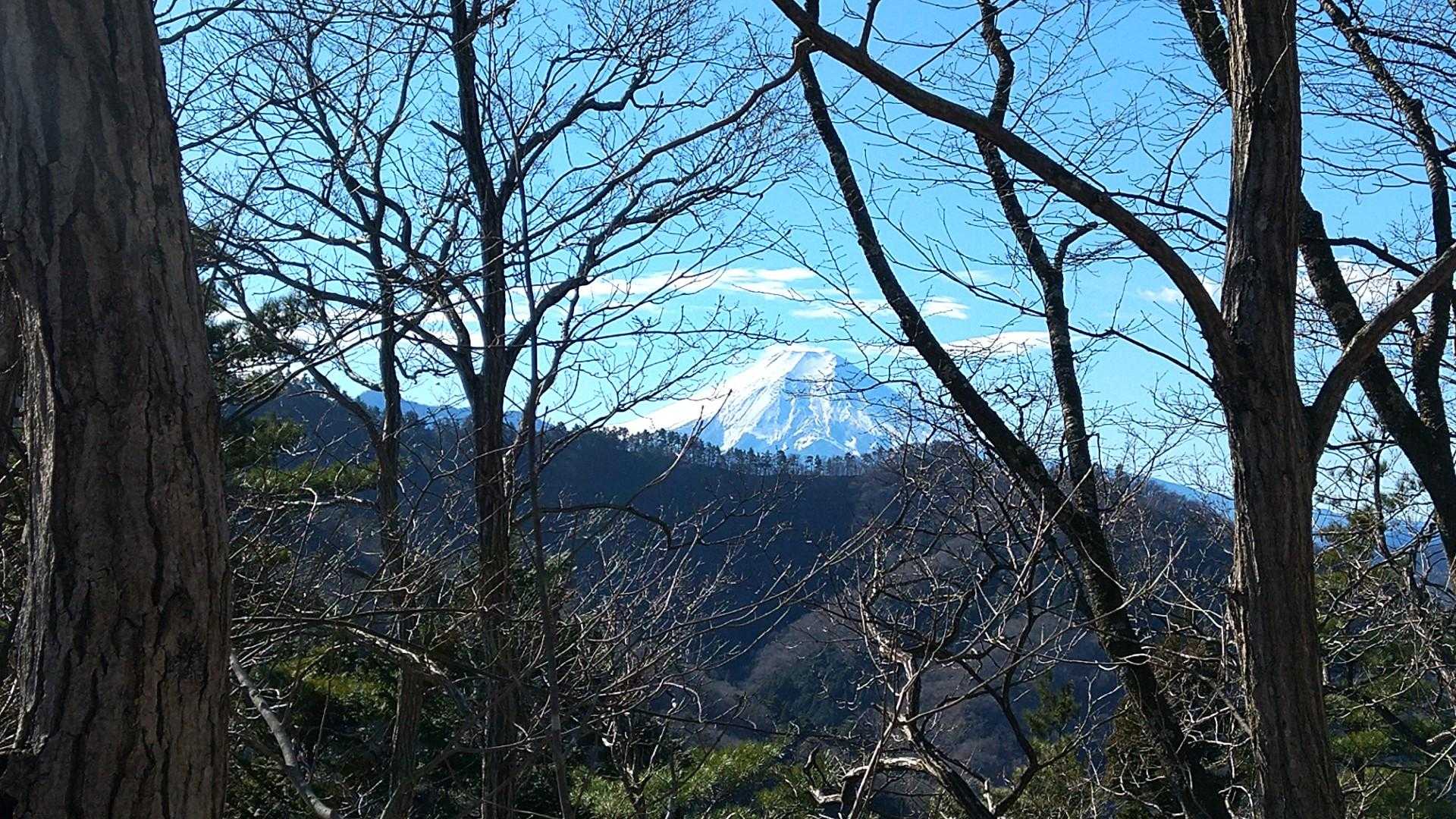 菊花山を下りてからも、しばらく右手に富士山が見えてました。幸せ😃💕