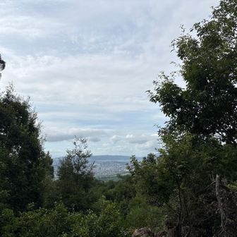 この見晴台からの分岐点もわかりにくく迷いました。