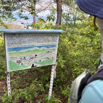 明智光秀の丹波攻めのことが書かれてました🧐