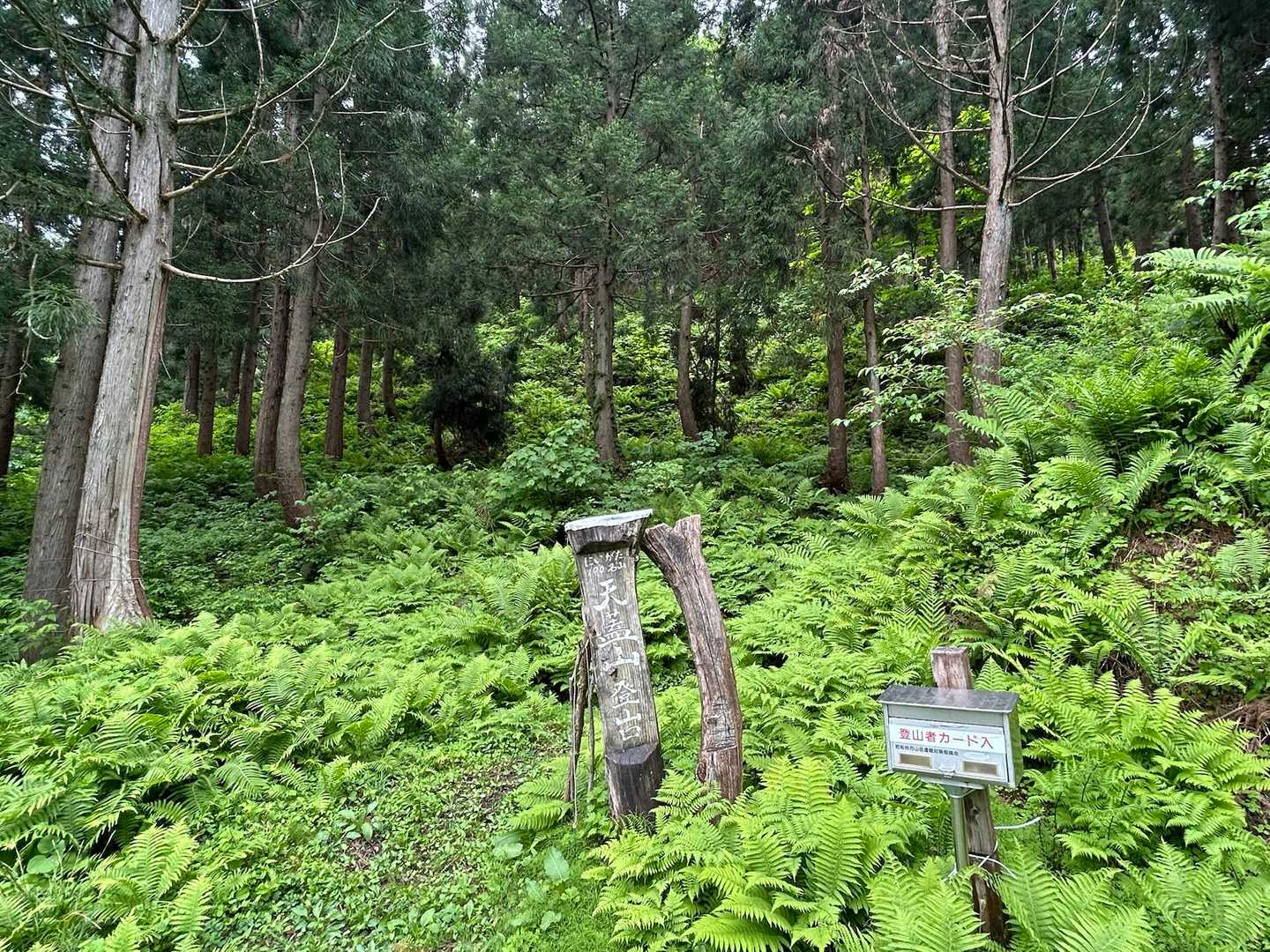 登山口
