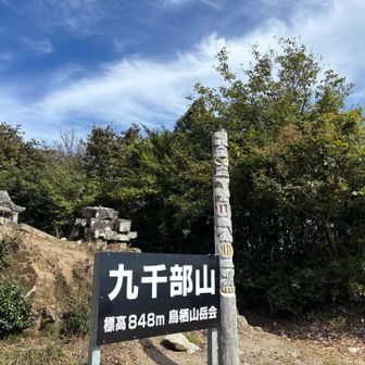 山頂には毘沙門天さんの祠があります。
あと、「水の神」とされる祠も祀られています。

ダムも天気予報もない時代に、
水が無いor多過ぎって
本当に怖かったでしょうね。
九千部山はきのこと祈りの山でした🙏