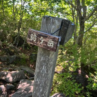 鈴ヶ岳。大ダオから岩々の道。鎖場もいくつかありました。