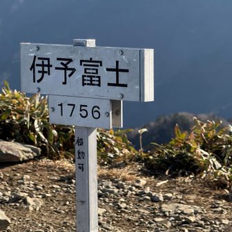 伊予富士だけ本日二度目の登頂ですよ！