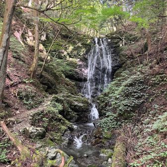 不動の滝

渇水が気になってたけど
まだ大丈夫そう🙏


