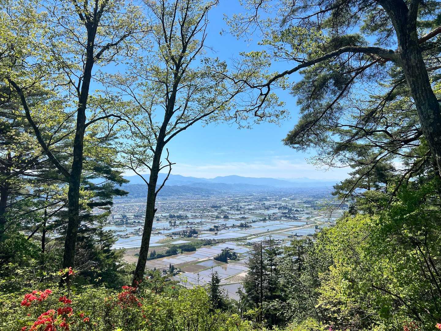 朝日登り口-城山 往復コースの写真