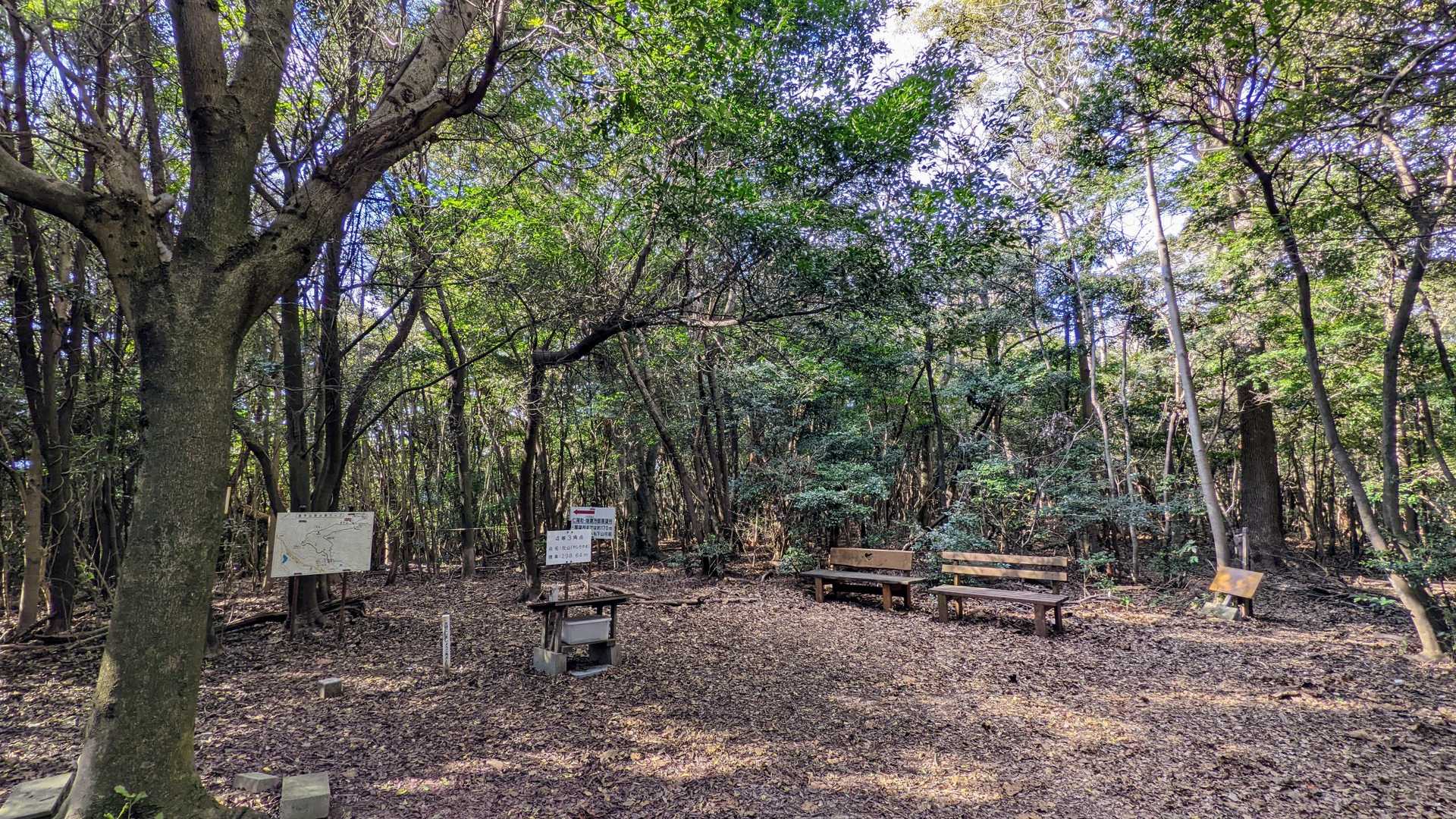 北の七宝山到着、山頂は展望なし