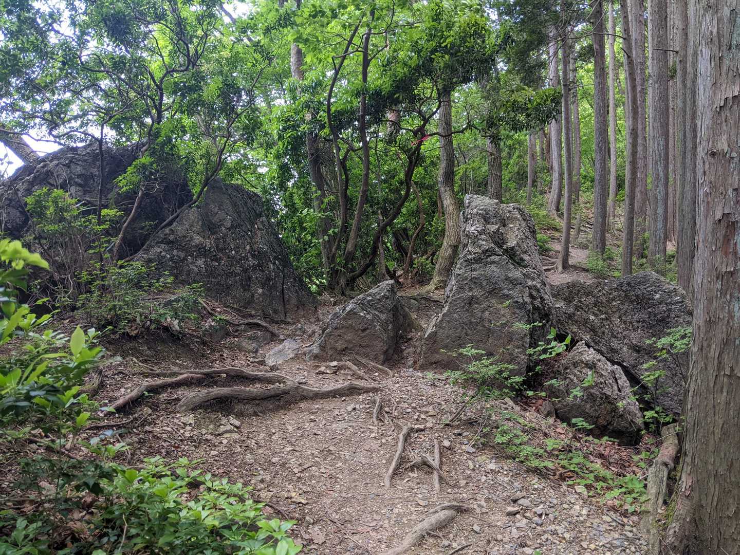 行きとは違い山道