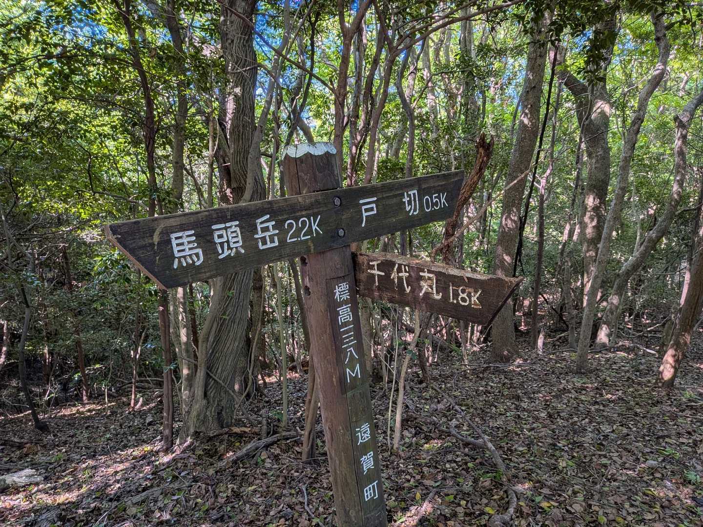 大谷山・馬頭岳尾根コース登山口-大谷山 往復コースの写真