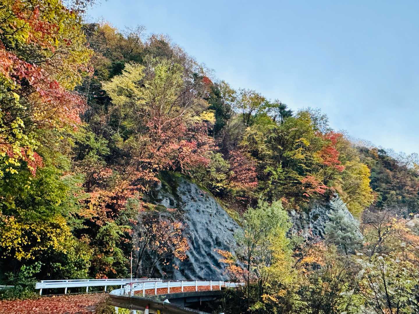 小河内岳往復 | 遥かな稜線が繋ぐ天空のオアシス、富士と塩見を望む大パノラマの写真