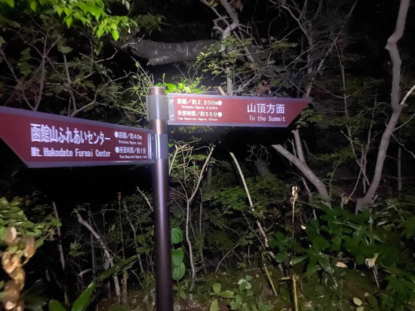 旧登山道で登ります